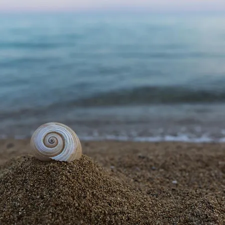 Kaitiapartments Торони