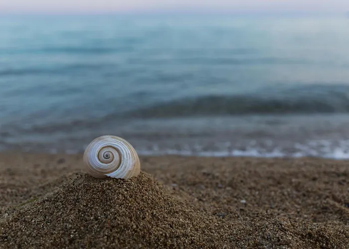 Kaitiapartments 托罗尼