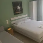 Apartman Kaitiapartments *